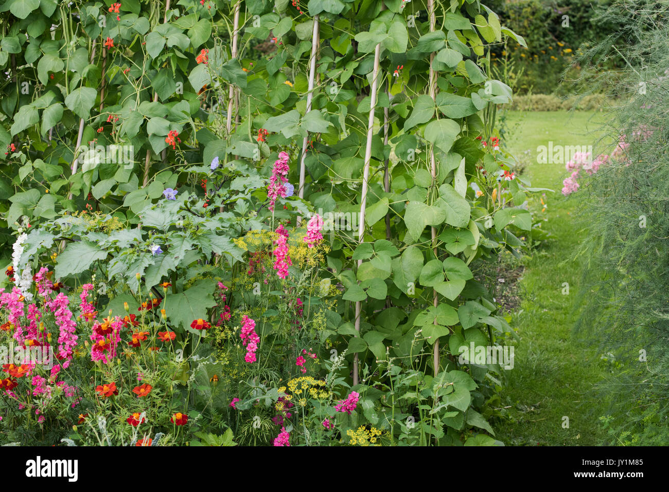 Englisches cottage Gemüse- und Blumengarten im Spätsommer. Warwickshire, Großbritannien Stockfoto