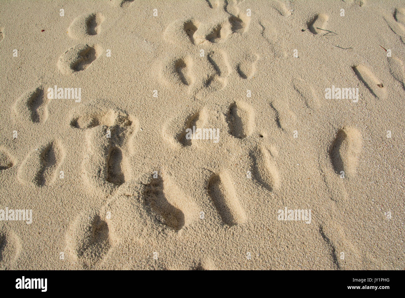 Viele Fußspuren am Strand, Sand Stockfotografie - Alamy