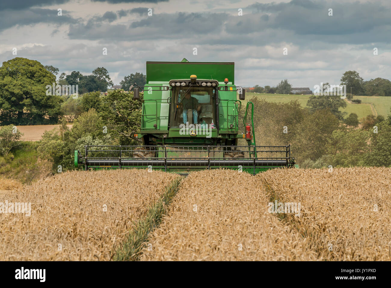 UK Anbau, Ernte, John Deere Hillmaster Mähdrescher bei der Arbeit auf einer Ernte von Weizen bei Wycliffe, Teesdale August 2017 Stockfoto