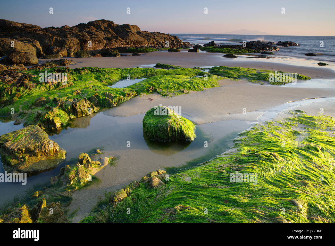 Swtan Beach, Church Bay, Anglesey, Stockfoto