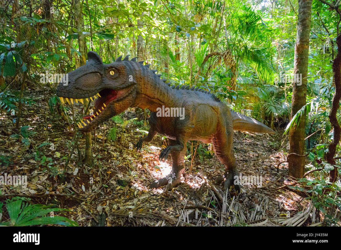 Cryolophosaurus ellioti (theropode) im Jura Wald, Daintree Discovery Center, Queensland, Queensland, Australien Stockfoto