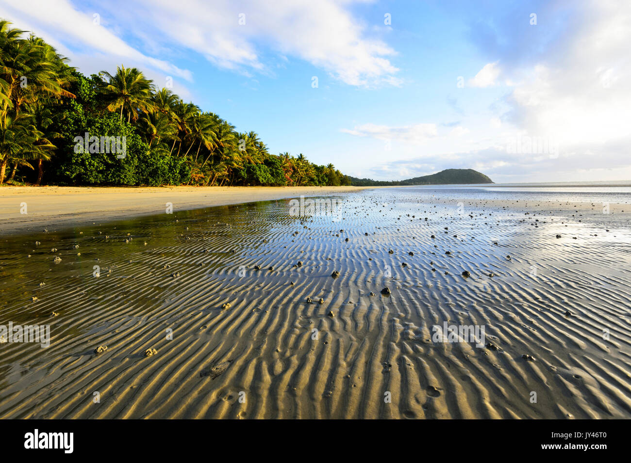 Sand Muster am Myall Beach, Cape Tribulation, Daintree National Park, Far North Queensland, FNQ, QLD, Australien Stockfoto