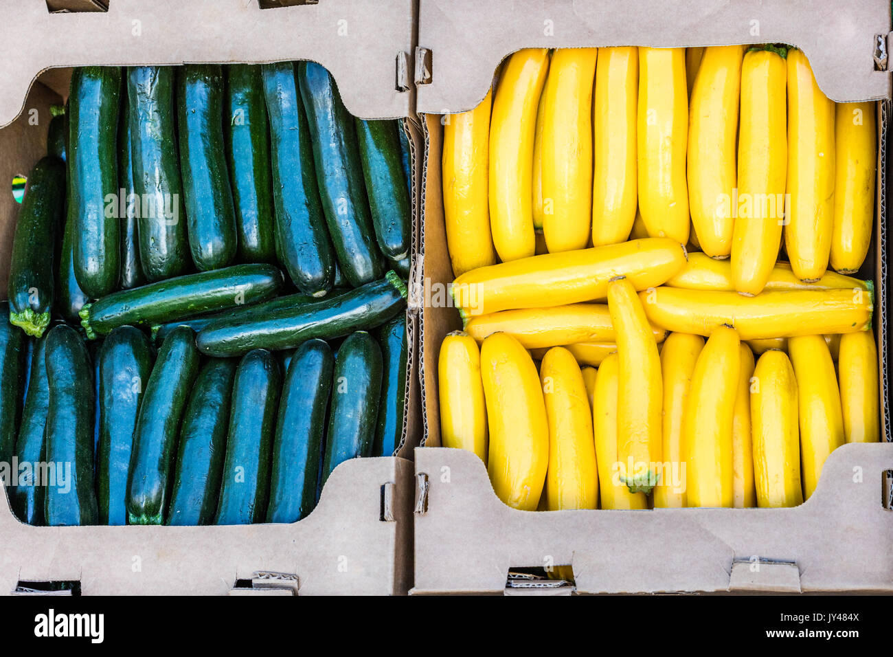 Zwei Landwirte Kästen gefüllt bis zum Rand mit gelben und grünen Squash. Lecker Zucchini. Stockfoto
