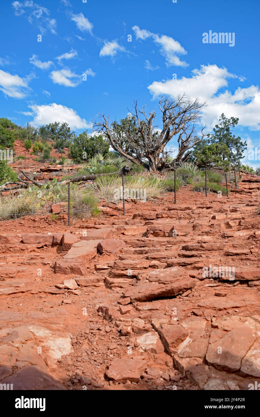 Red Rock Treppen Stockfoto