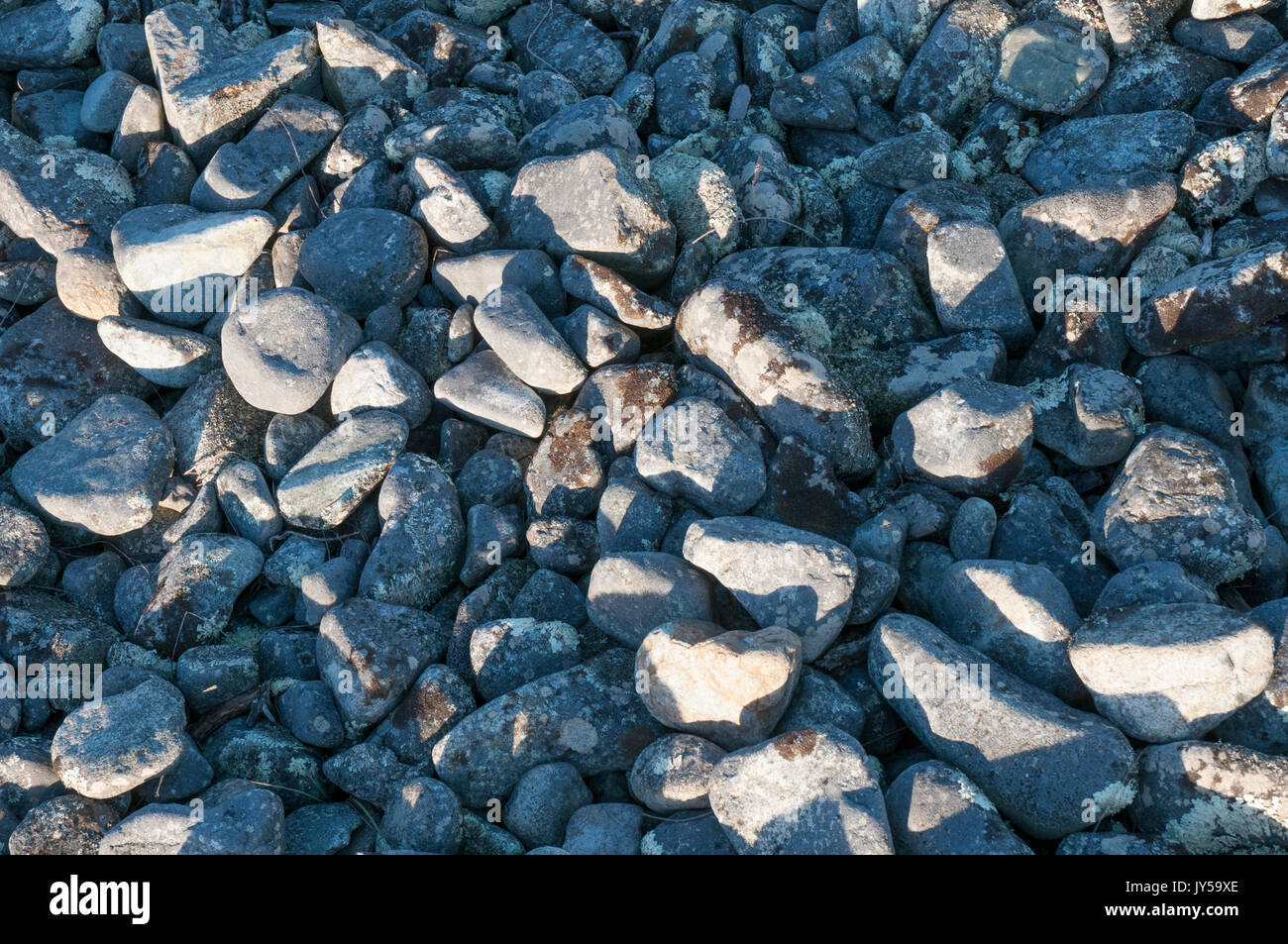 Kieselsteine am Strand auf der Tasman Bay, Nelson, Neuseeland Stockfoto