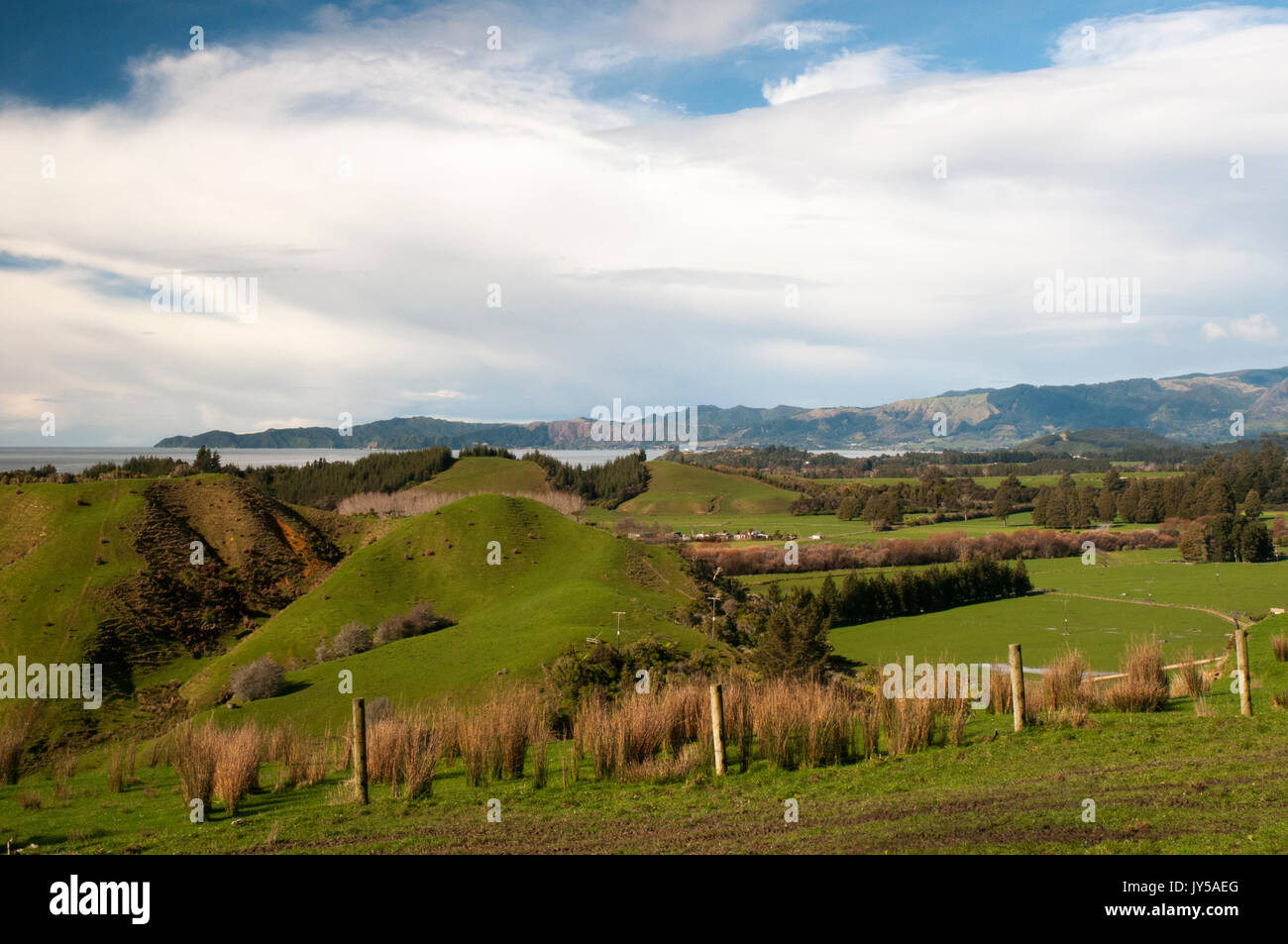 Golden Bay von der Takaka Hill Highway, Neuseeland gesehen Stockfoto