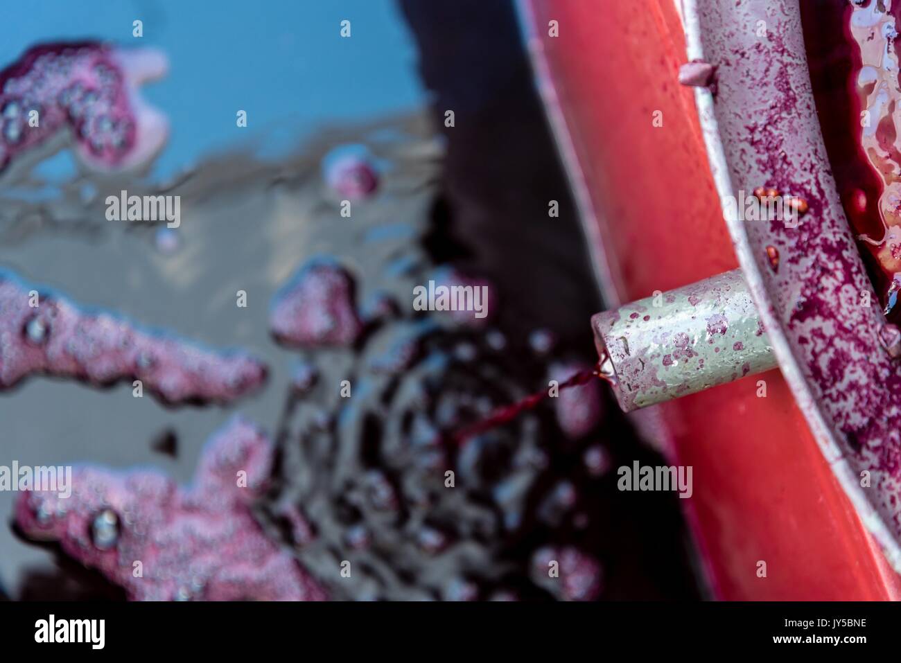 Hölzerne Weinpresse mit roten muss für Taste Weintrauben Wein zu produzieren. Traditionelle alte Technik der Weinbereitung. Platz in der linken Seite Stockfoto
