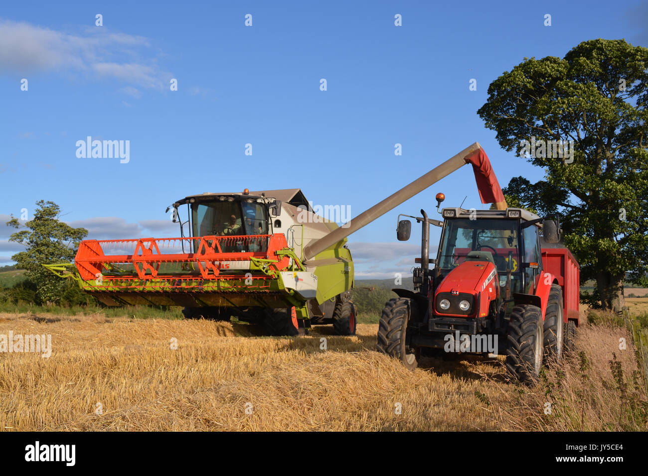 Claas Tucano 430 Mähdrescher und Traktor von Massey Ferguson Stockfoto