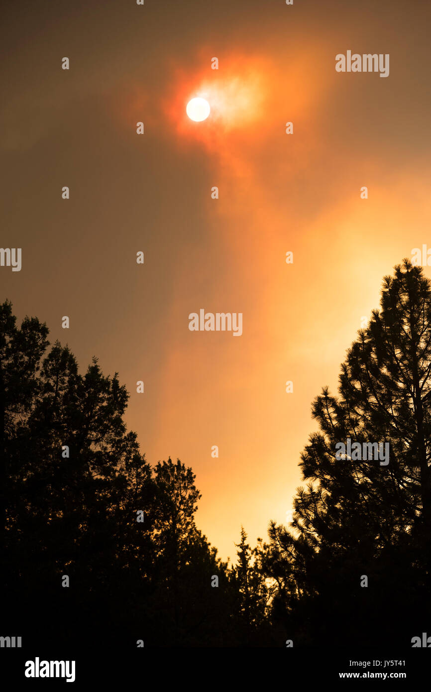 Schwestern, Oregon, USA. 18 Aug, 2017. Die Sonne ist durch den Rauch an Schwestern Oregon am August 19th, 2017 Quelle: Chris Boswell/Alamy leben Nachrichten Stockfoto