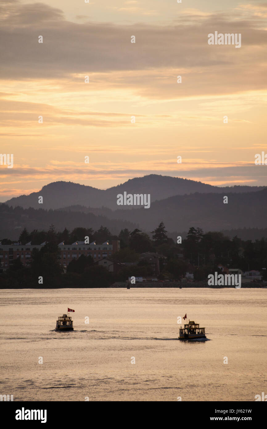 Wasser Taxi Taxi in Victoria BC-Hafen bei Sonnenuntergang, Vancouver Island Stockfoto