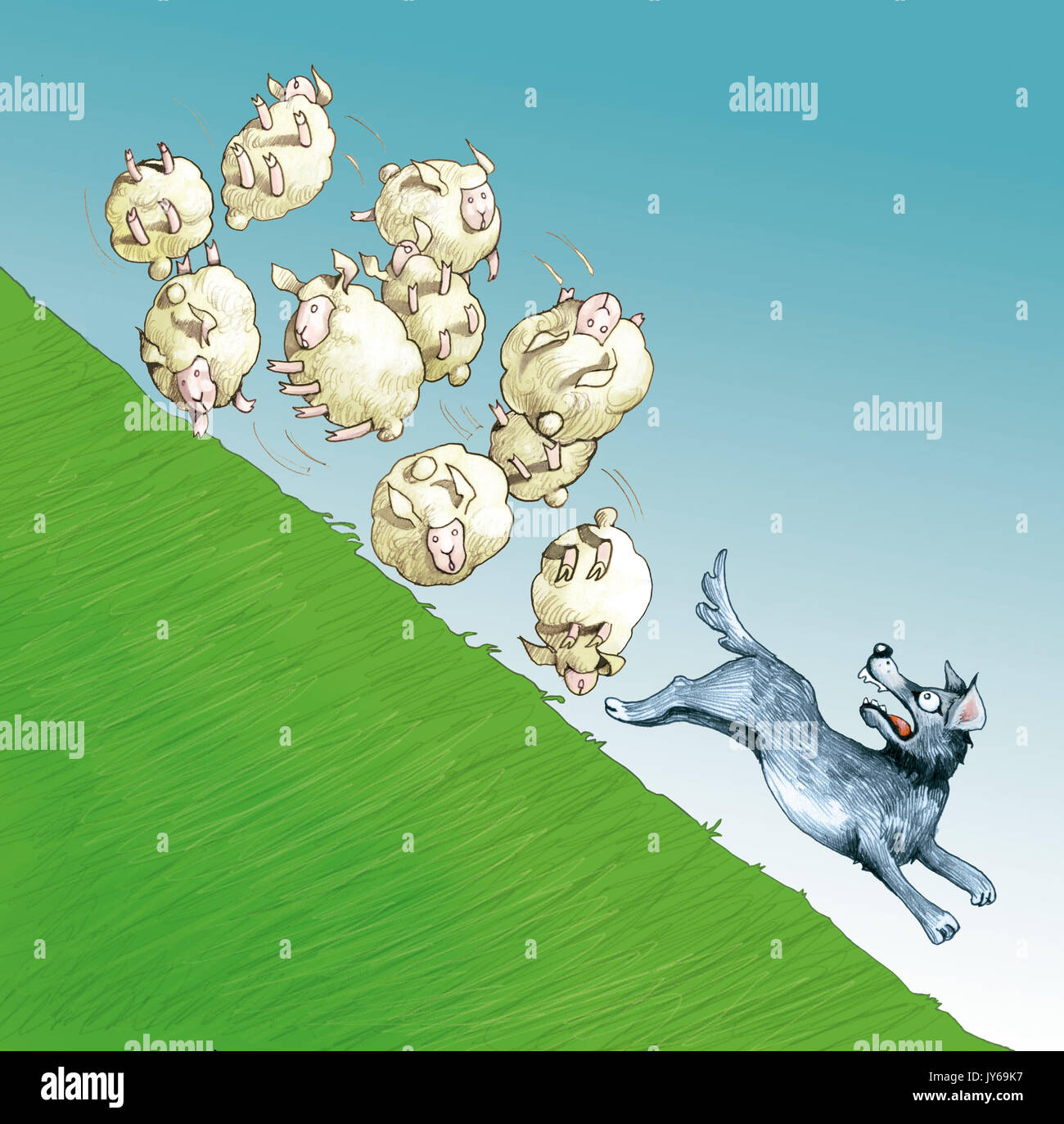 Eine Herde von Schafen auf einem Hügel fegt ein Wolf im Flug Stockfoto