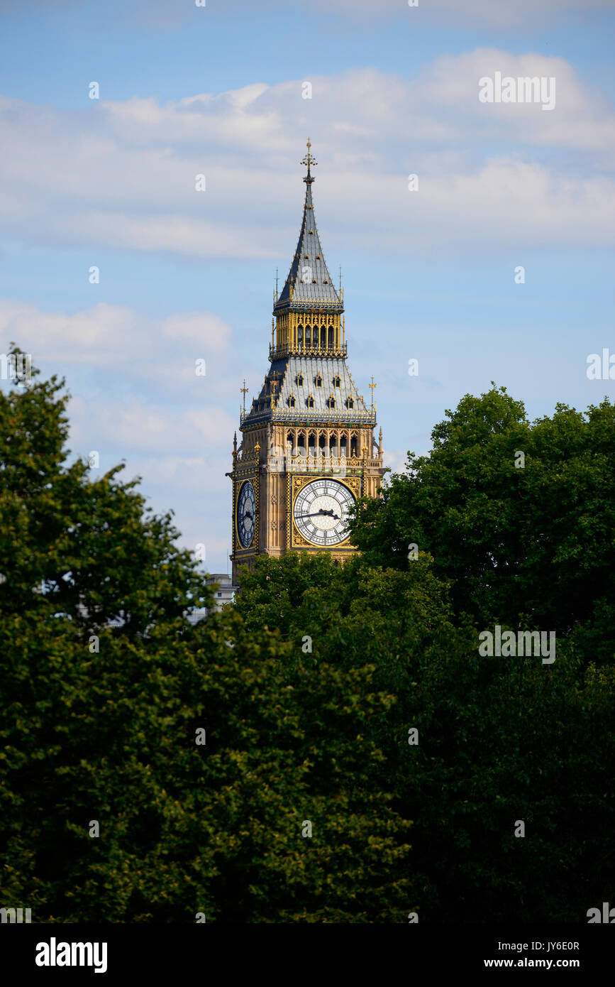 Big Ben, Elizabeth Tower of Palace of Westminster, eingerahmt von Bäumen im St James's Park in Westminster, London, Großbritannien Stockfoto