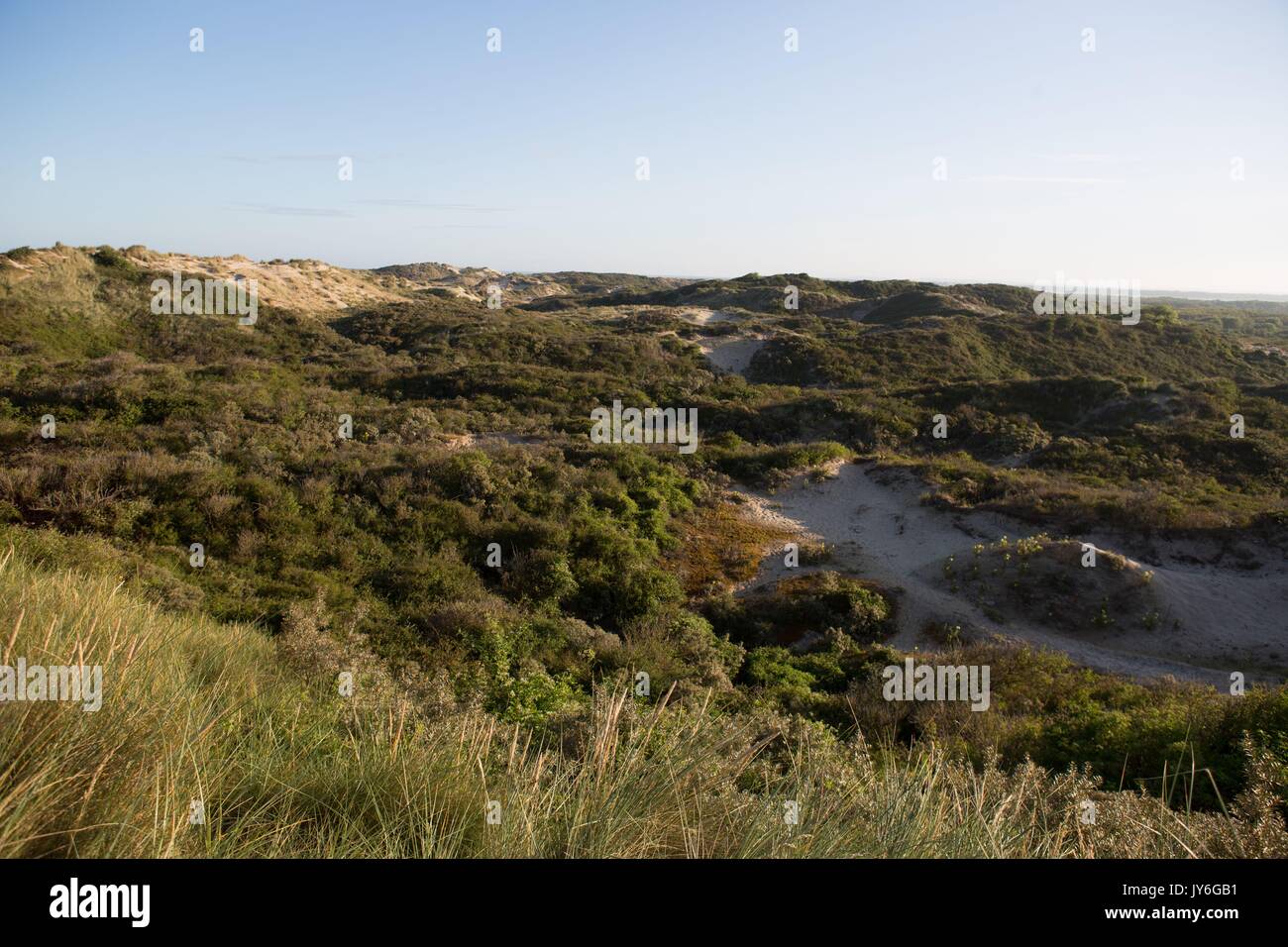 Frankreich, Région des Hauts de France, Picardie, Baie de Somme, Fort Mahon, Foto Gilles Targat Stockfoto