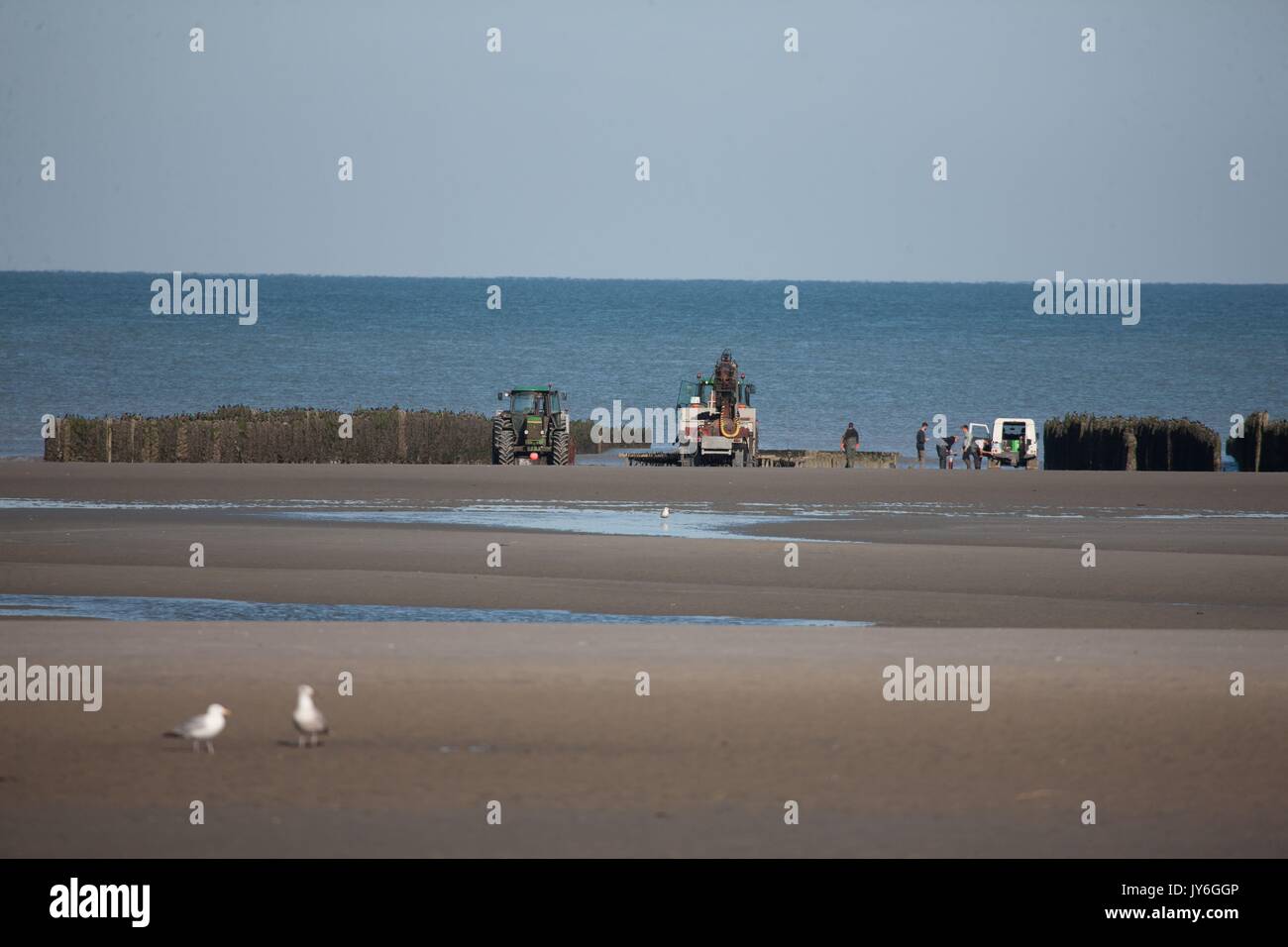 Frankreich, Région des Hauts de France, Picardie, Baie de Somme, Quend plage, Foto Gilles Targat Stockfoto