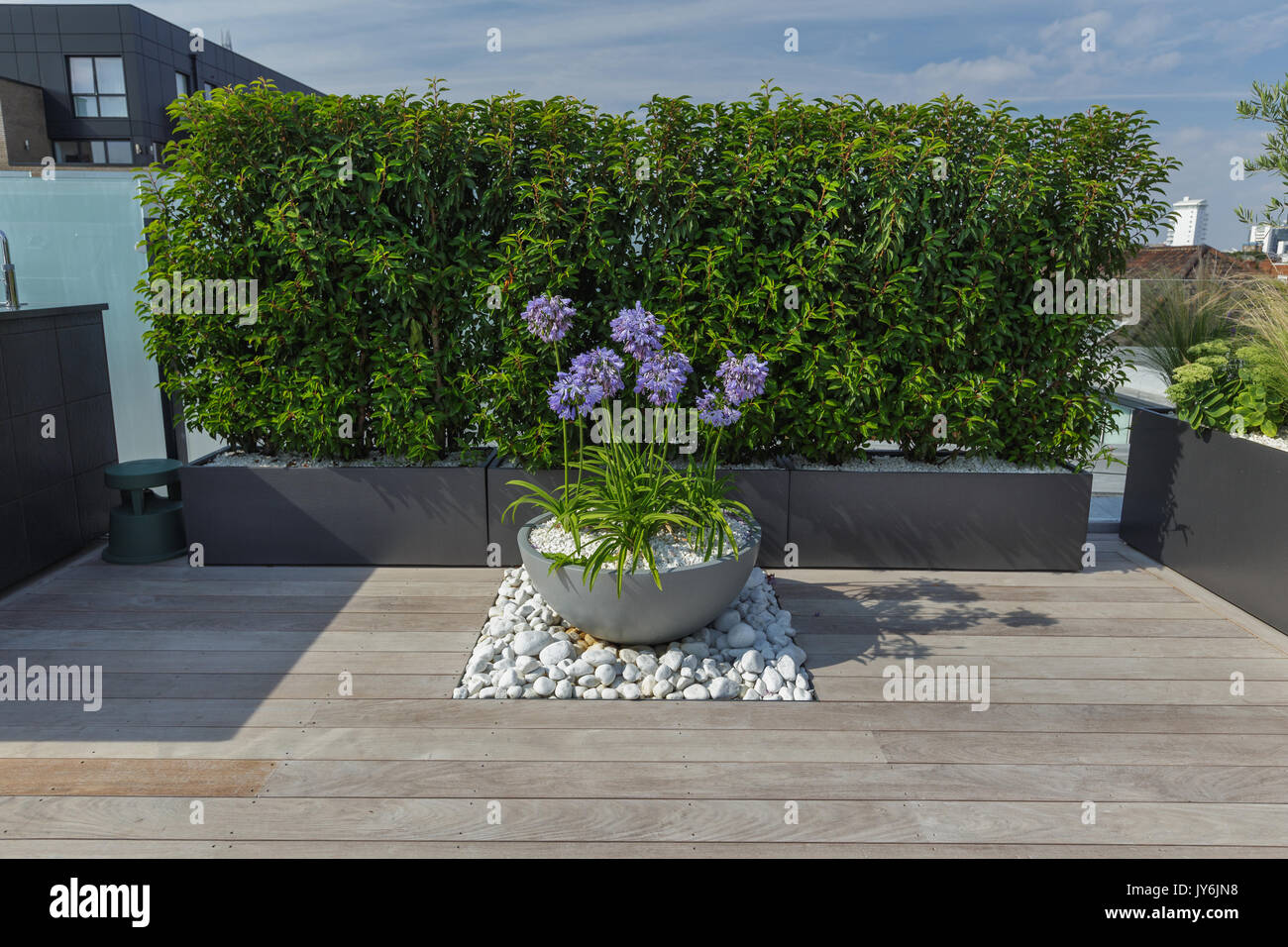 Luxuriöse Dachterrasse in London mit Schnittholz Terassendielen, zeitgenössische Pflanzmaschinen mit üppiger Bepflanzung und moderne Gartenmöbel Stockfoto
