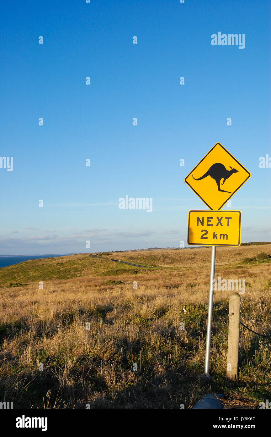 Ein straßenschild in Australien warnt vor möglichen Kängurus in der Straße Stockfoto