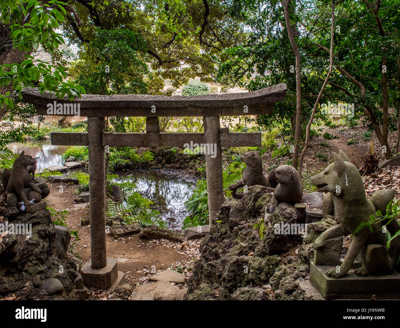 Torii Gateway und Stein Kitsune, koshikawa Botanischer Garten, Bunkyō, Tokio, Japan Stockfoto