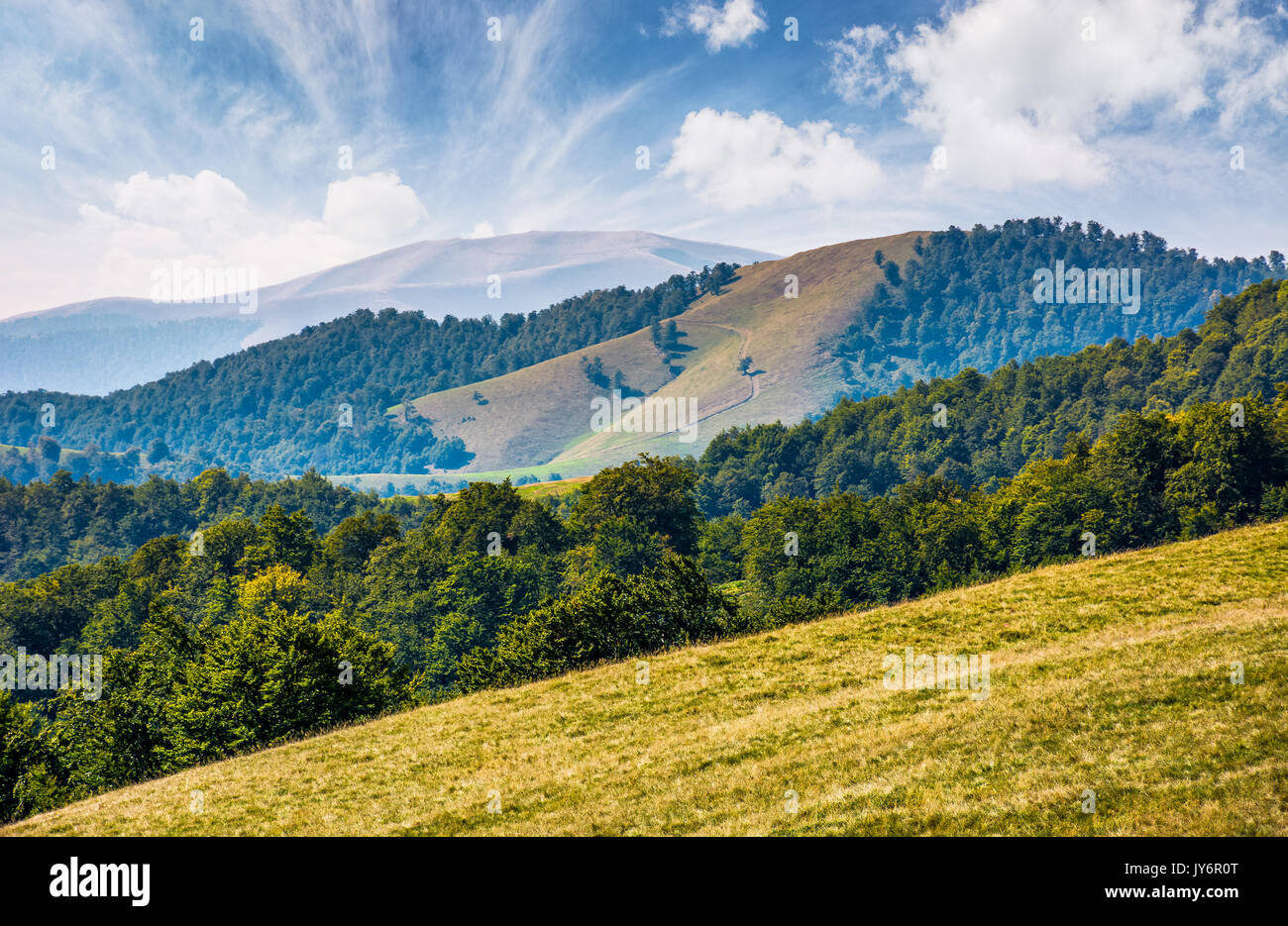 Wunderschöne Anfang Herbst Landschaft in den Bergen unter blauem Himmel mit spektakulären Wolkenformationen. mehrschichtige Szene mit Wiese und Wald am Hang Stockfoto