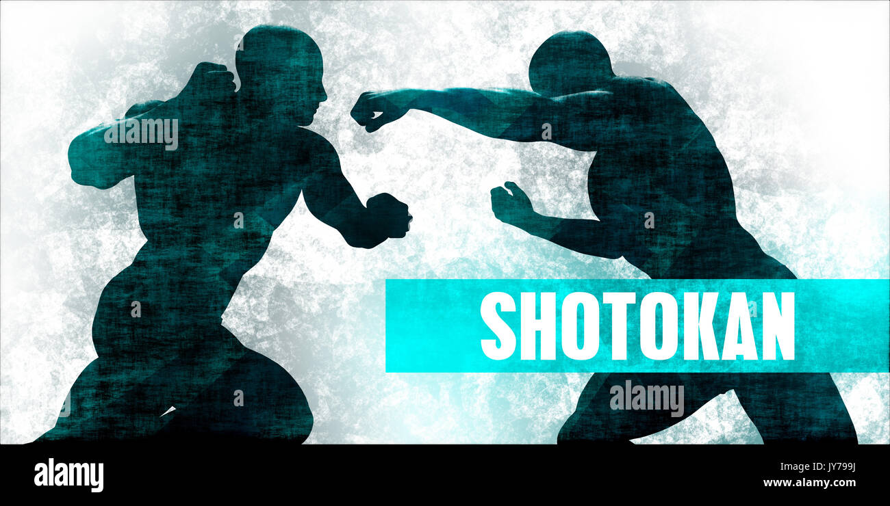 Shotokan Kampfsport Selbstverteidigung Training Konzept Stockfoto