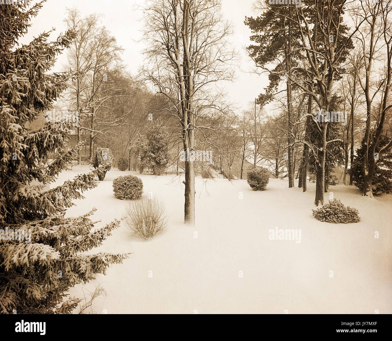 DE - Bayern: Winter Wonderland entlang der Isar, Bad Tölz, Bayern Stockfoto