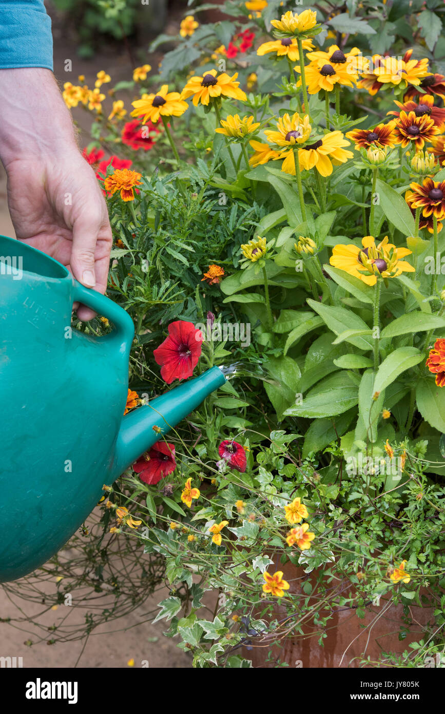 Gärtnerin blumen gießen Fotos und Bildmaterial in hoher Auflösung Alamy