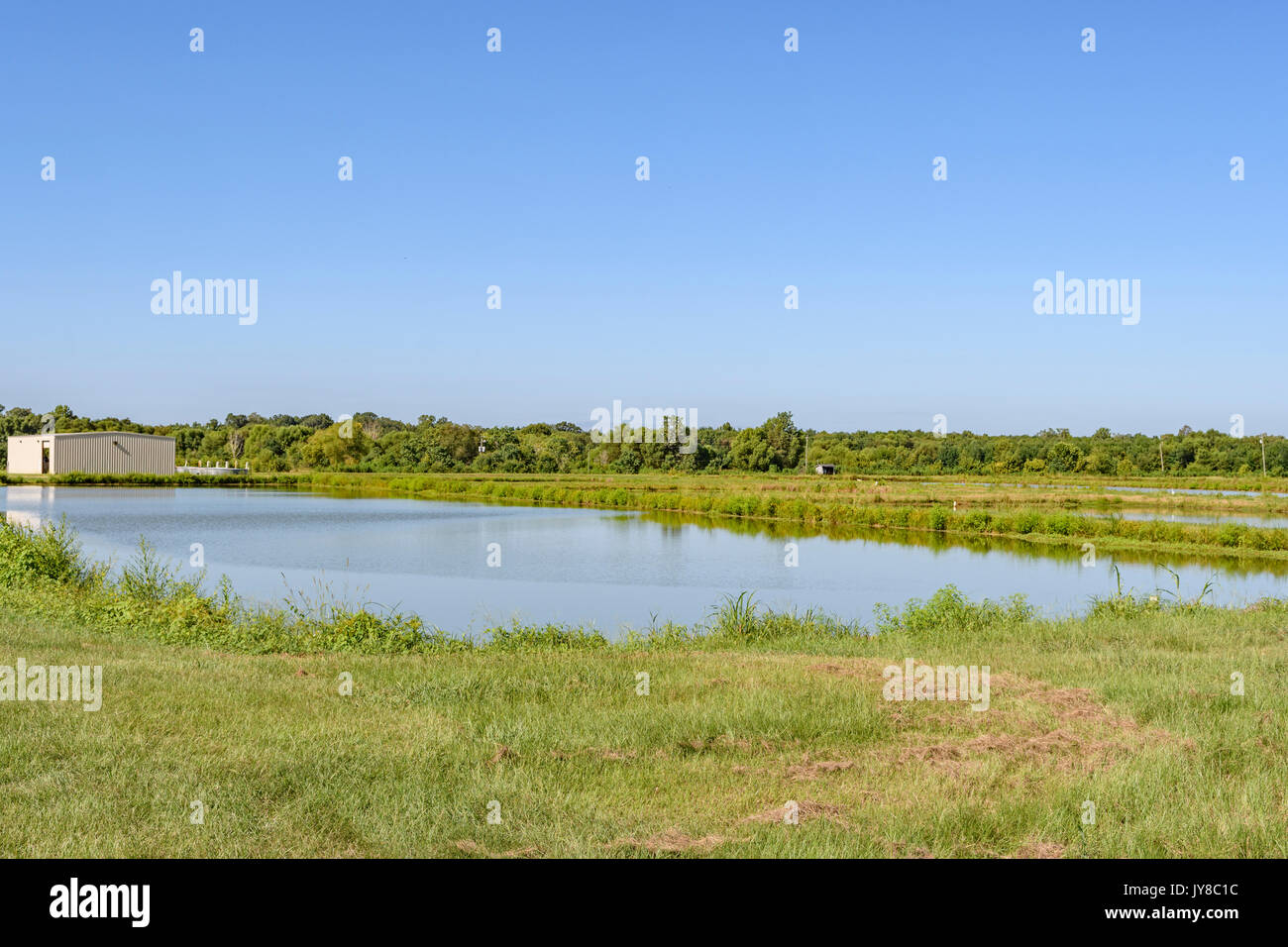 Südstaaten spiel Fischzuchtanstalt in Hecht Straße, Alabama, United States, verkauft kommerziell, eine Vielzahl von Sport Fisch vorrätig zu Teichen und Seen. Stockfoto