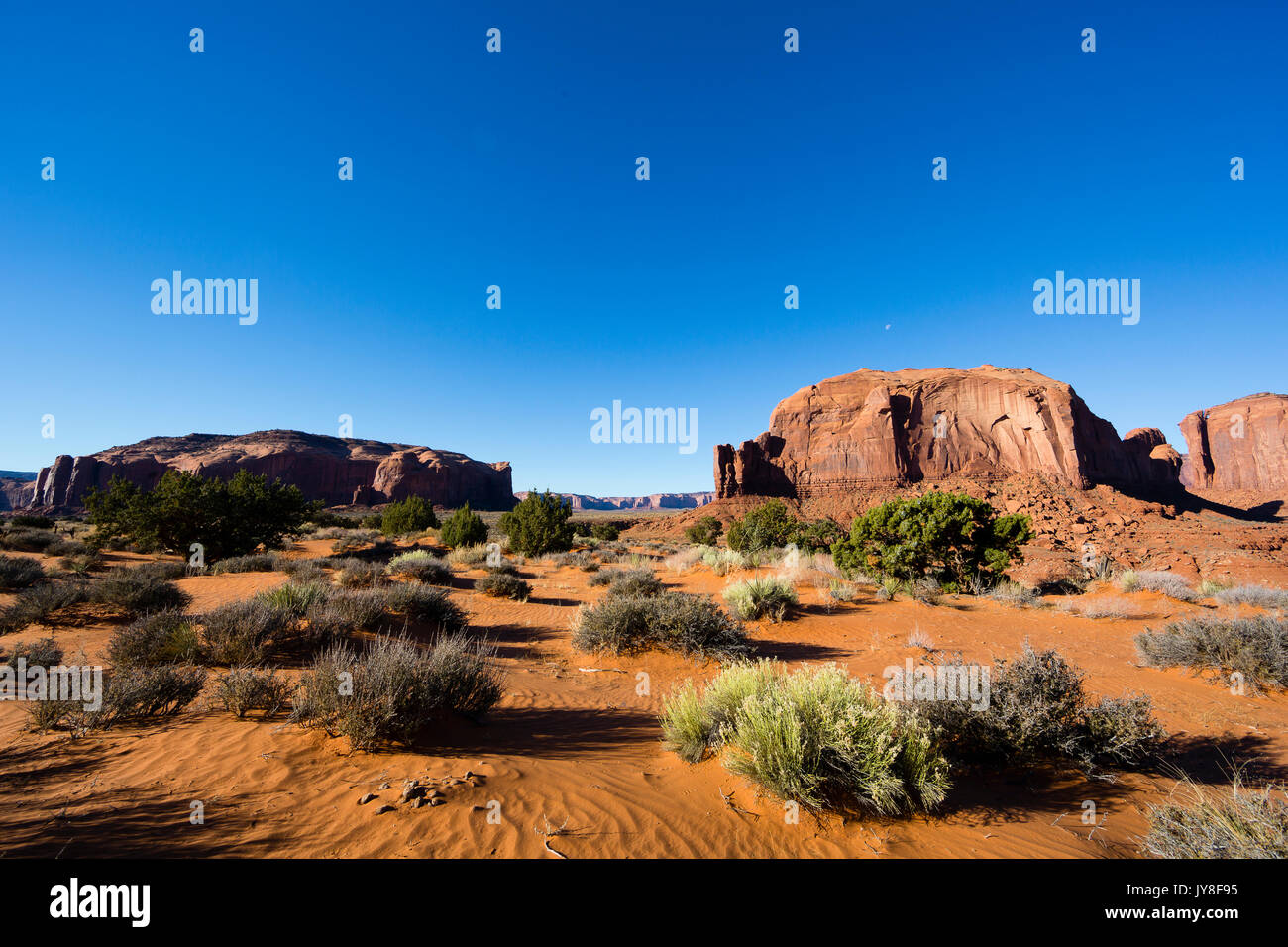 Monument Valley, Utah, USA. Grüne Pflanzen Kontrast mit rote Wüste Staub und Sand. Stockfoto