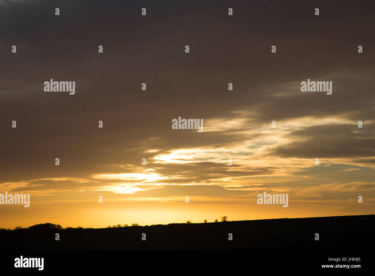 Ditchling Beacon, Sussex, UK. Bäume am Horizont der untergehenden Sonne. Stockfoto