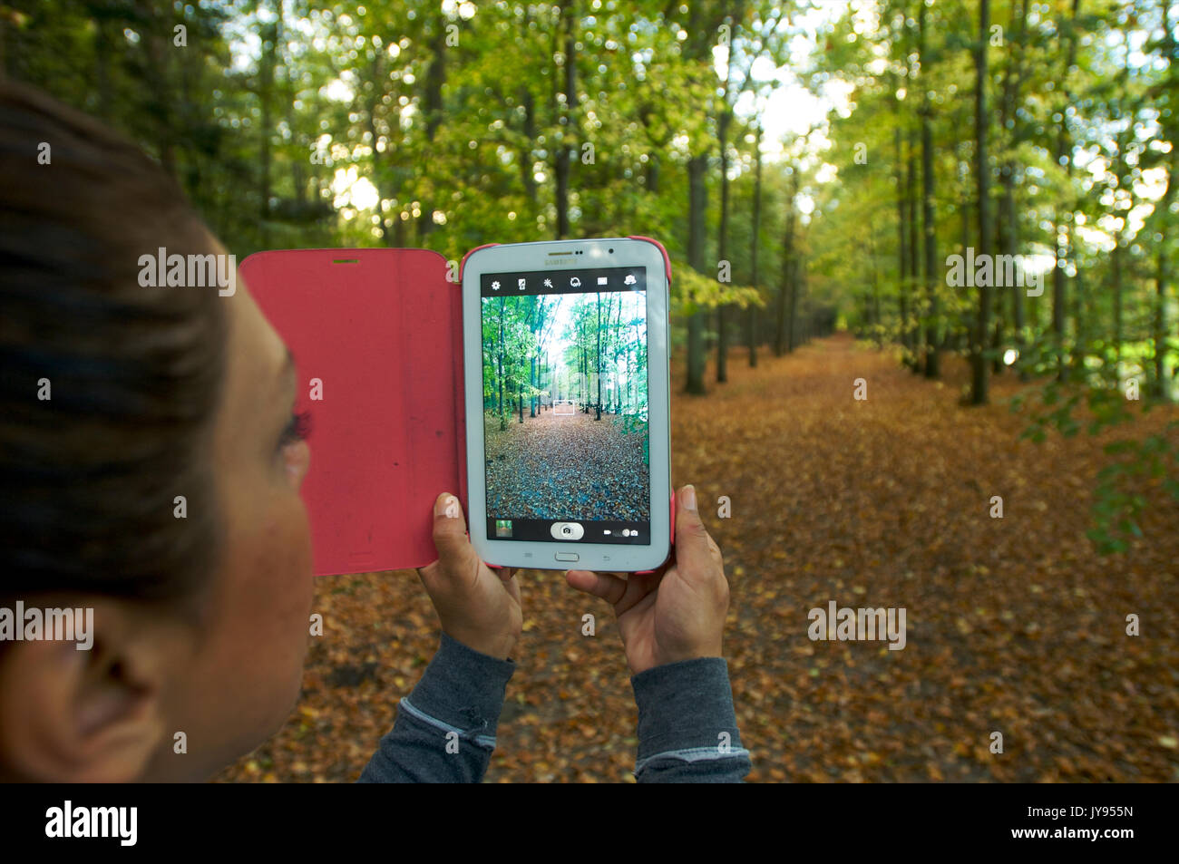 Frau mit einem Tablett in den Händen und unter ein Bild in einem Wald im Herbst Stockfoto