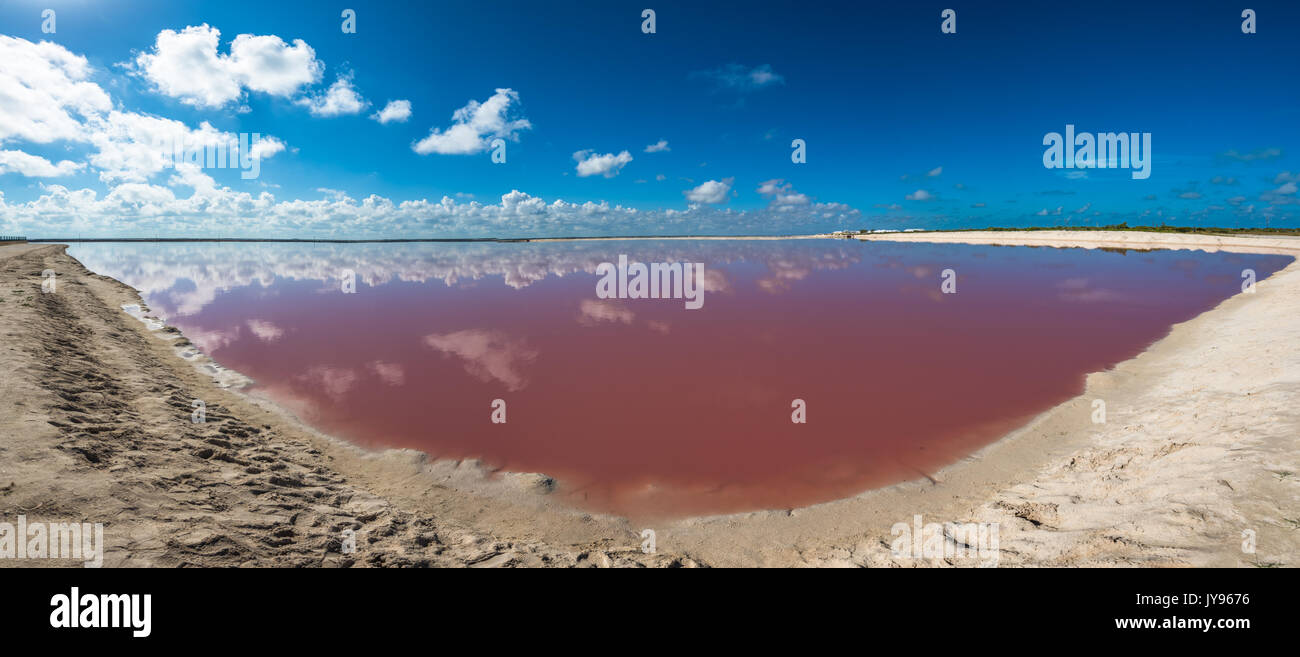 Salz Rosa Lagune in Las Coloradas, Yucatan, Mexiko Stockfoto