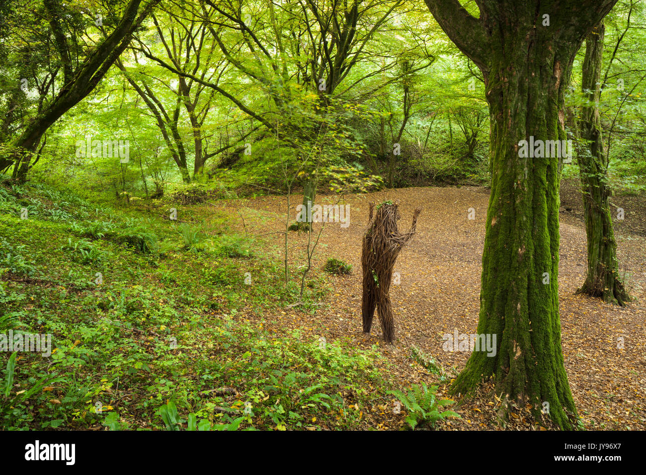 Der Bär willow Skulptur steht in einem grünen Amphitheater in Ebbor Schlucht in der Nähe von Wells, Somerset, England. Stockfoto