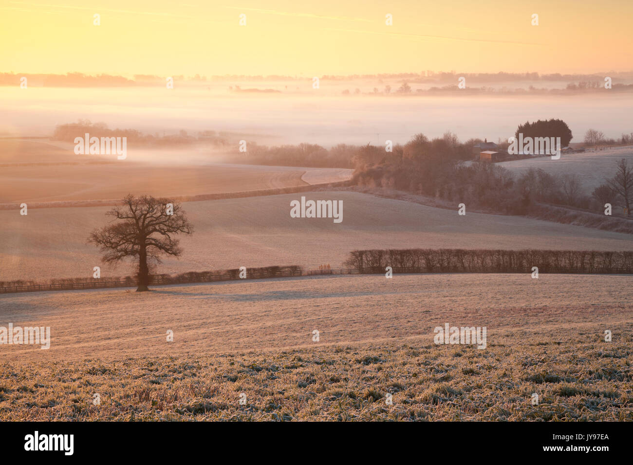 Eine erhöhte Ansicht über eine stark vereiste Landschaft mit Schichten von Nebel bei Sonnenaufgang in der Nähe von East Haddon in Northamptonshire, England. Stockfoto