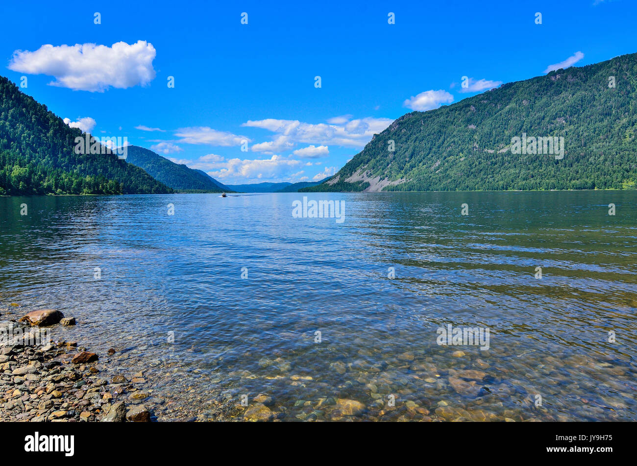 Transparente saubersten Wasser der Teletskoye oder Golden Lake. Altai Gebirge Sommer Landschaft, Russland Stockfoto