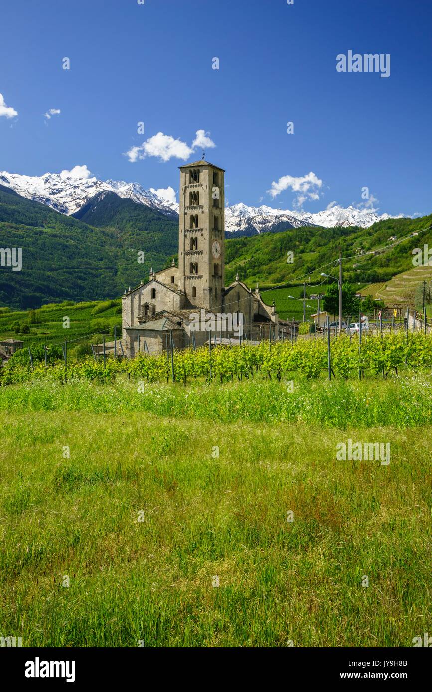 Die Kirche von Bianzone umgeben von grünen Weinbergen des Valtellina. Provinz von Sondrio. In der Lombardei. Italien. Europa Stockfoto