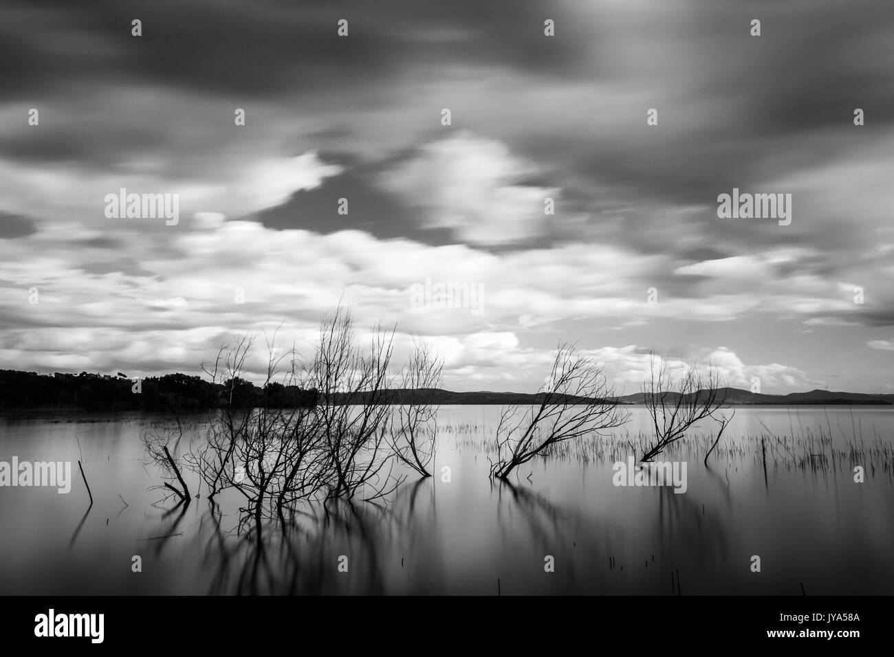 Lange Belichtung Foto von einem See, Bäume und Äste aus noch Wasser und einen schönen Himmel mit Wolken Stockfoto