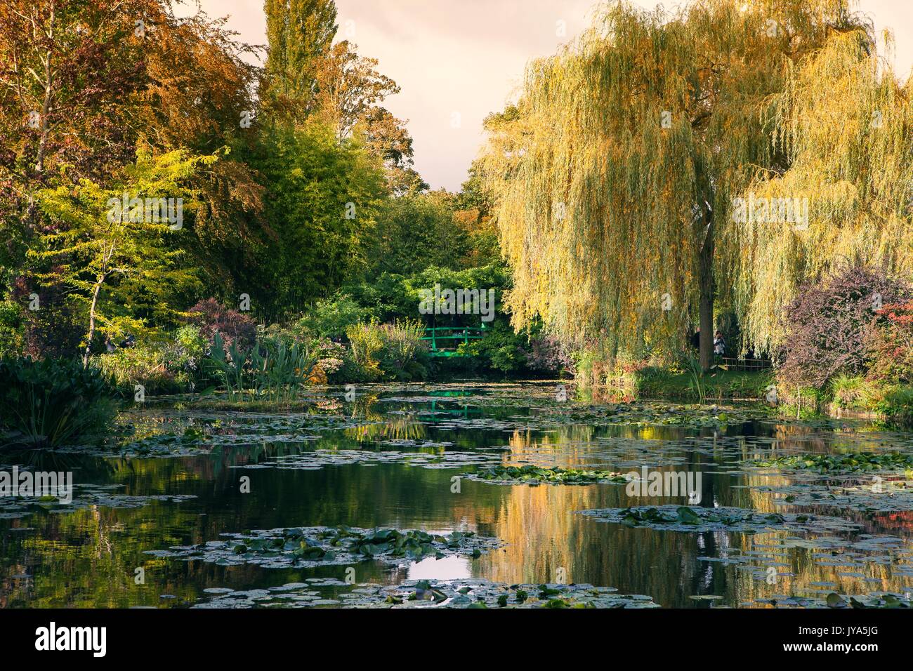 Claude der Garten im Herbst, Seerosen im See an einem sonnigen