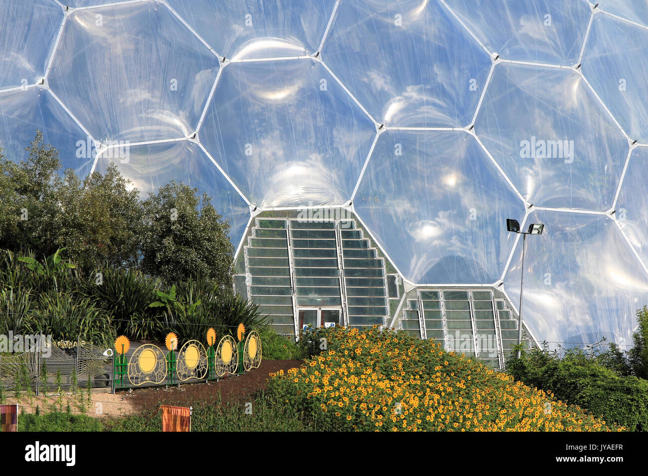 Eden Project, Cornwall, England - 24. August 2010: Die weltweit größte Regenwald in Gefangenschaft mit dampfenden Dschungel und Wasserfälle. Bildungszentrum Stockfoto