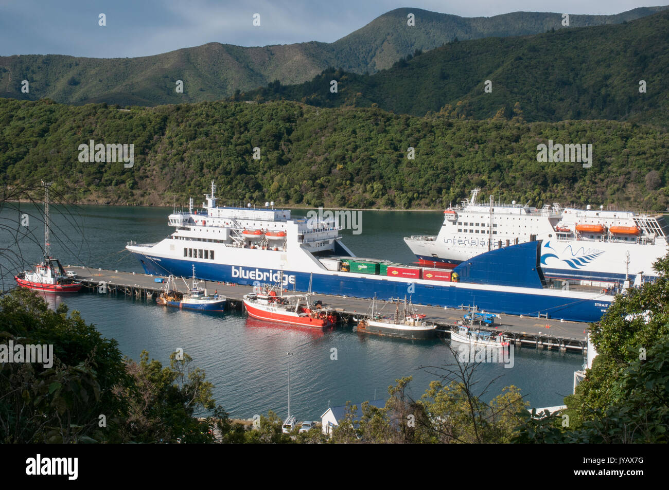 Bluebridge Cook Strait die Inselfähren RO-RO dockten in Picton, Marlborough. Service verbindet Nord- und Südinseln, Neuseeland. Stockfoto