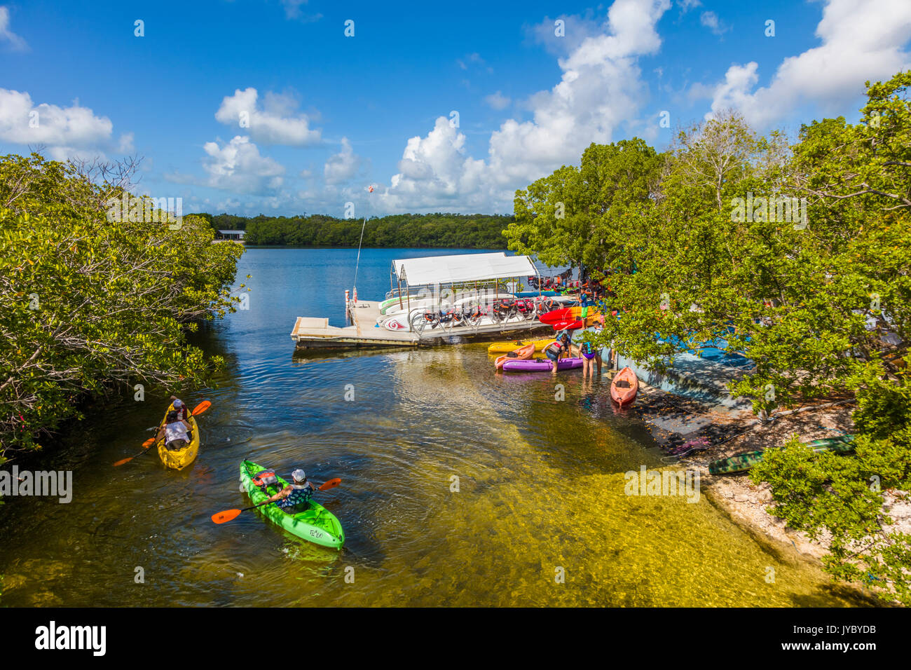 Personen Kajakfahren in John Pennekamp State Parkin Key Largo in den Florida Keys. Stockfoto