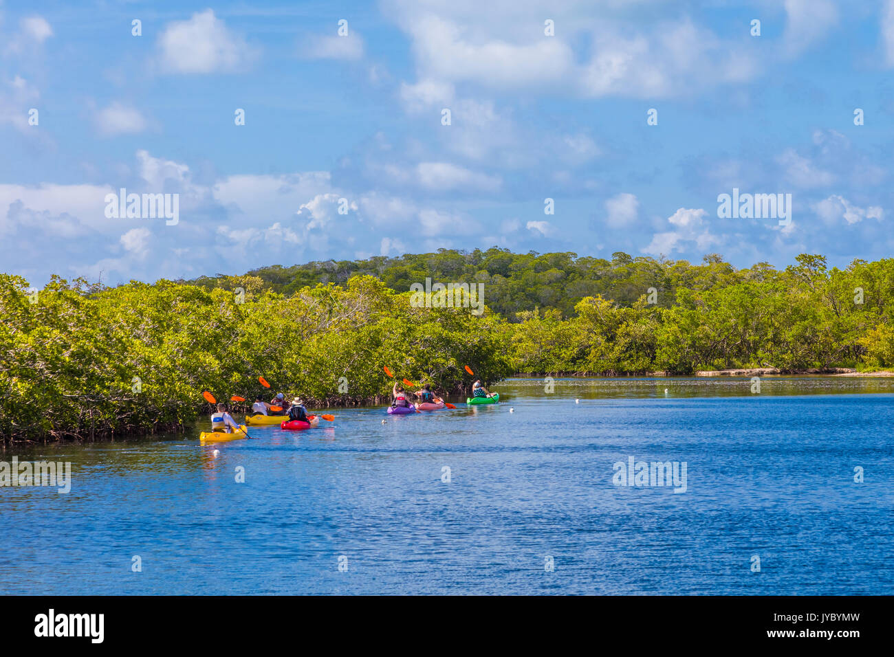 Personen Kajakfahren in John Pennekamp State Parkin Key Largo in den Florida Keys. Stockfoto