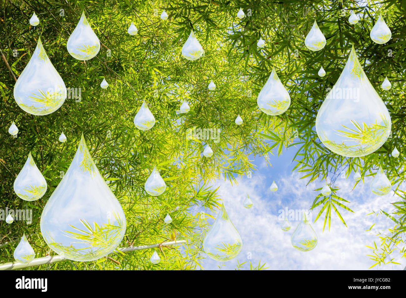 Wassertropfen mit grünen Blättern und blauen Himmel Stockfoto