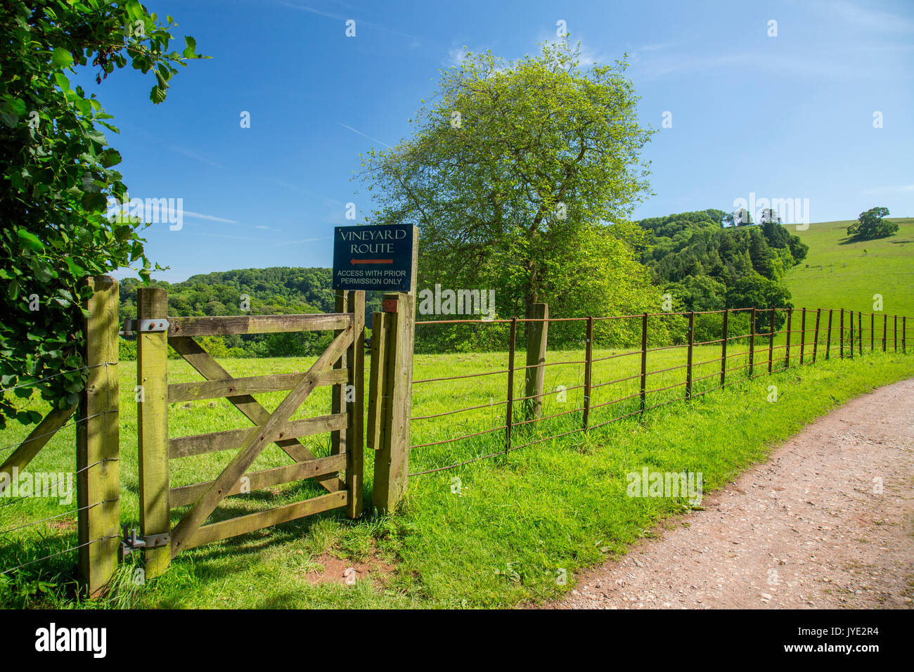 Eine hölzerne Tor zu Beginn der Weinberg am Sharpham, Devon, England, Großbritannien Stockfoto