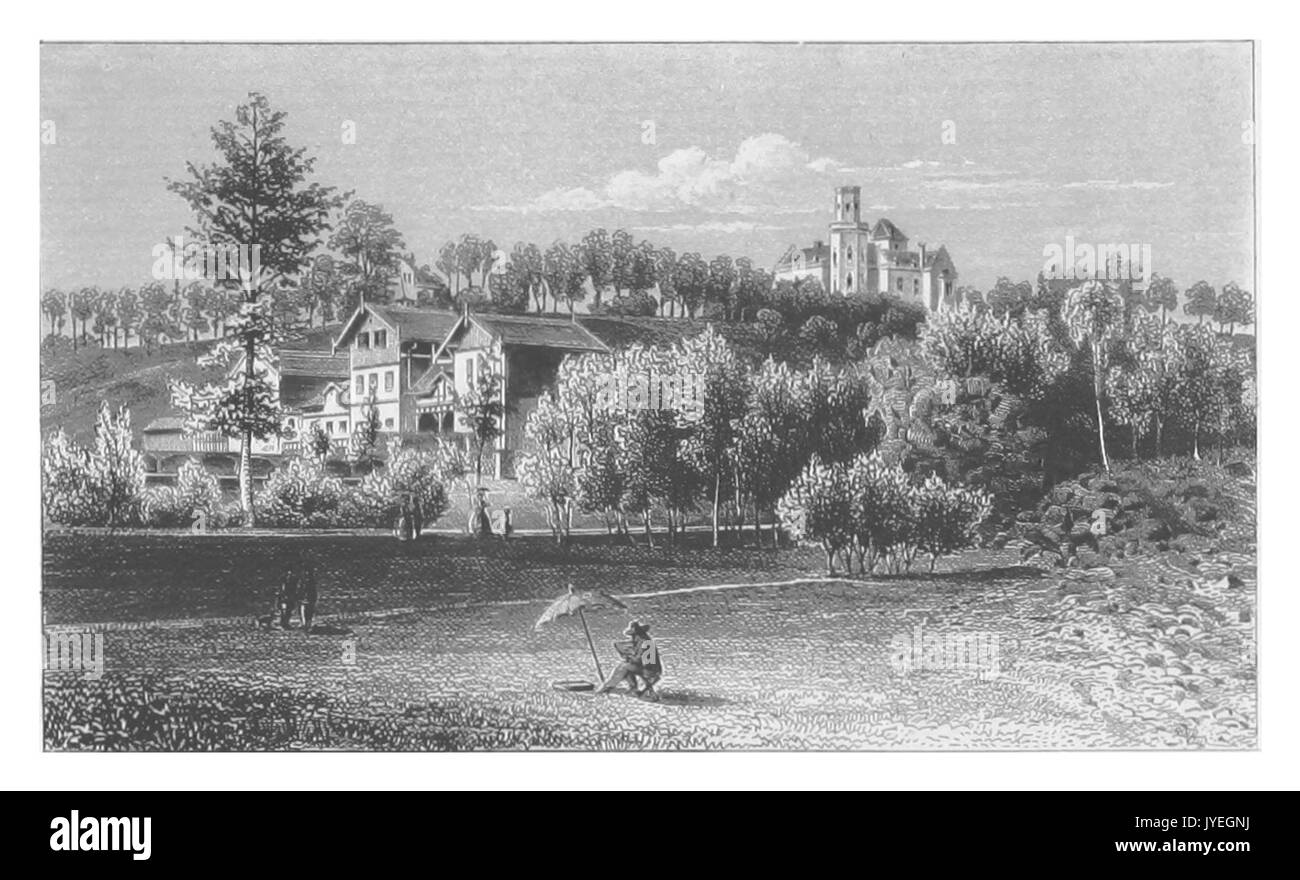 (GASPEY) p93 DER WINGERTSBERG Stockfoto