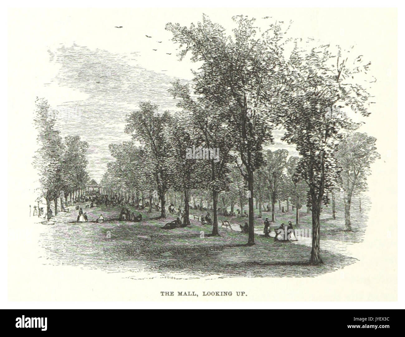 NYC CentralPark (1869) p 050 Die Mall, Suchen nach Stockfoto