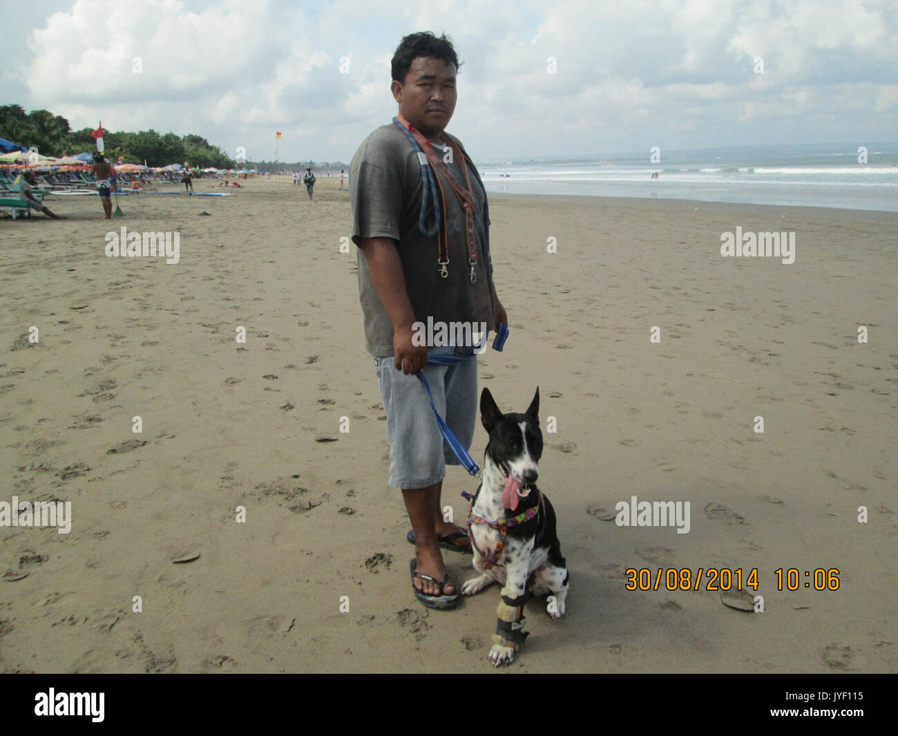 Einem behinderten Hund mit seinem Besitzer. Stockfoto