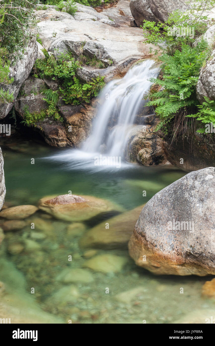 Ansicht der Purcaraccia Wasserfälle und natürliche Pools im Sommer Punta di Malanda Bavella Gebirge Zoza Korsika Frankreich Europa Stockfoto