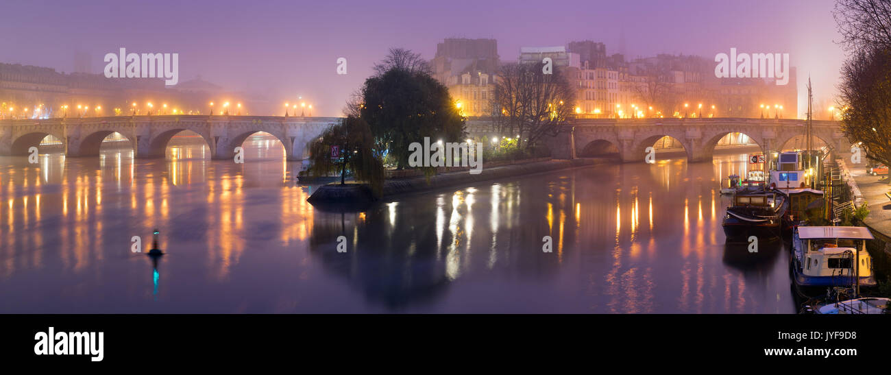 Ile de la Cite in der Dämmerung mit Nebel, der Seine, und Pont Neuf Brücke. Winter in Paris, Frankreich Stockfoto