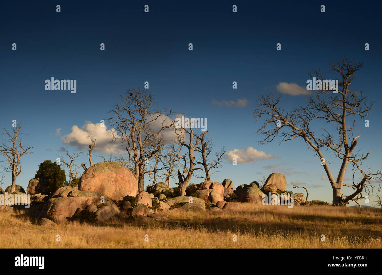 Landschaft mit Bäumen und Felsen, New South Wales, Australien Stockfoto