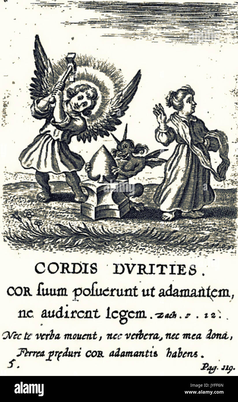 5. Cordis Durities Stockfoto