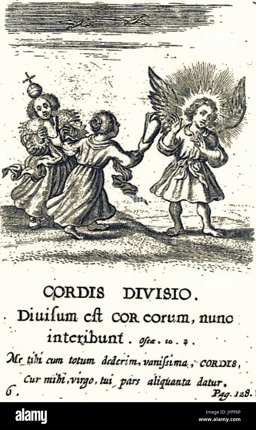 6. Cordis Unmögli Stockfoto